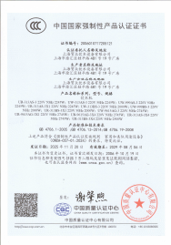 大程控证书